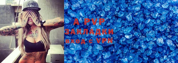 PSILOCYBIN Сосновый Бор