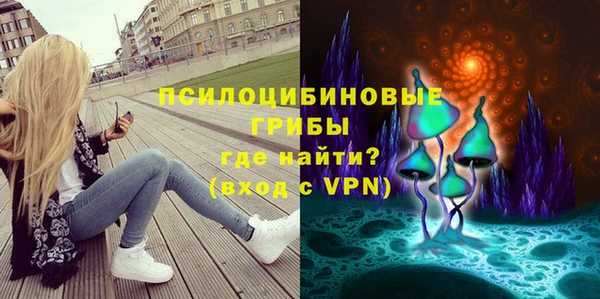 мдма Богородск