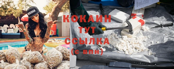 кокаин Богданович