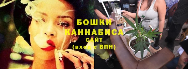 дживик Белокуриха