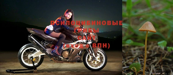 кокаин Богданович