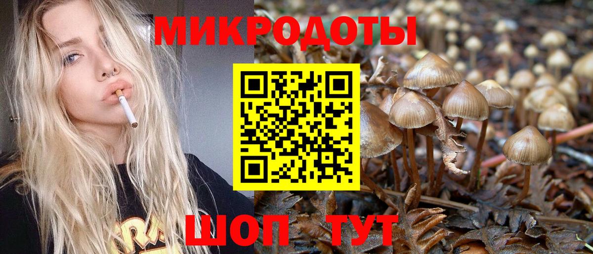Надым  Псилоцибиновые грибы мицелий  Вход с VPN 
